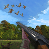 Duck Hunting(ҰѼ���Լ�)