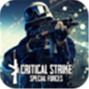 Critical Strike CS: Special Forces(���ֲ���CS)