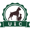 U����