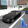Driving School Simulator(��Уģ����������)