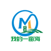 �ҵ�һĶ��app