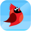 Red Bird!(�����������)