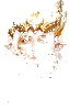 ��ҫ����ʹGM��