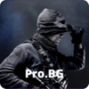 Pro. BG(רҵ�����ֱ�)