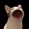 ����è��PopCat