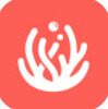 ɺ����װapp