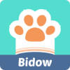 Bidow��ϰ��