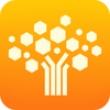 ��ʦ���ҽ̣�app
