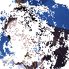 һ���������·�