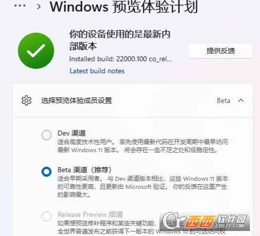 Win11ǿлBetaű