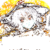 �ǹ�����ս�̳ǰ�