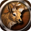 The Hunting World - 3D Wild Shooting Game(��������)