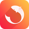 ����֮��app