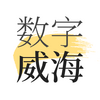 ��������app