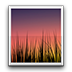 Live Wallpaper Picker.apk(ԭ����ȡ)