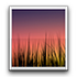 Live Wallpaper Picker.apk(ԭ����ȡ)V4.1.2��׿��