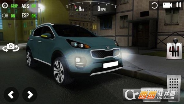 Sportage Car