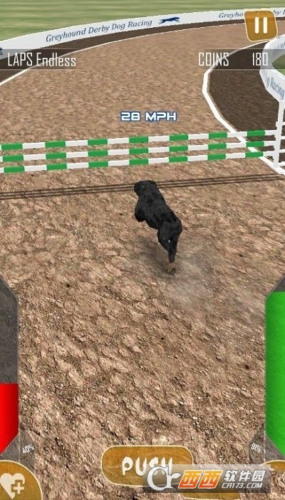 Dog Race 3d