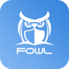 FOWL(��Ƶ���)ͼ��