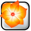 Adobe Illustrator CS2