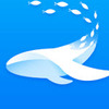 ��Ⱥ�ĵ�app���ǻ�������