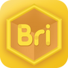 Bricubeѧ���˰�׿��