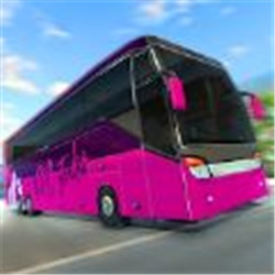City Bus Passenger Simulator: Bus Driving 3D(й˿ģ)