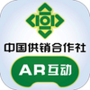 �����粩���