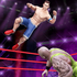 Stylized Wrestling(��̨ˤ���ֲ���)v1.1.7��׿��