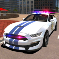 R8 Police Car Driving(R8ģ2021)v1