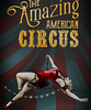 ����������Ϸ��The Amazing American Circus�������İ��ⰲװ