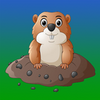 ������֪app��IT������