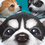 Cute Pocket Puppy 3D - Part 2(ɰĿڴС3D)v1.0.8.4 ׿