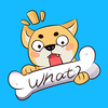 ��չ�ܼ�app