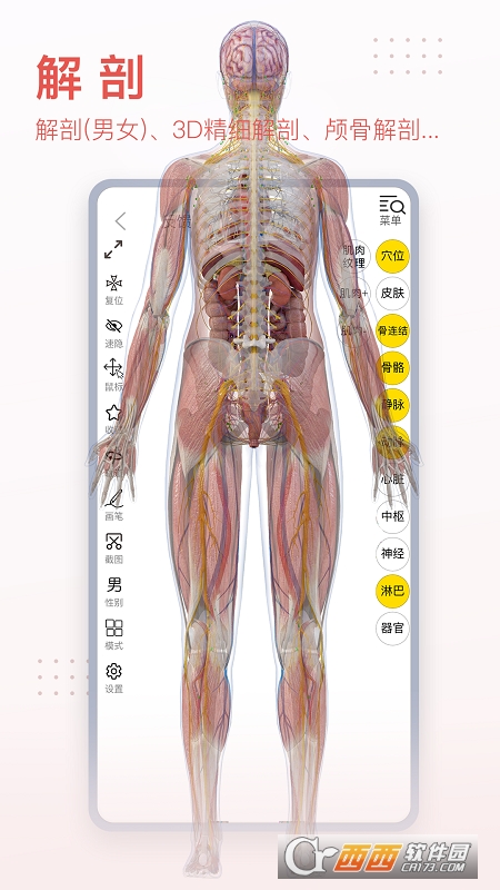 3DBody解剖APP v8.6.51 安卓手机版
