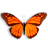 ȫ���������趯̬��ֽButterfly On Desktop