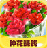 Happy Garden(���Ļ�԰ũ��׬Ǯ��)3.34.00