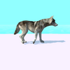 ��һ������Doggy Run