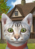 è��ģ����:ũ������(Cat Simulator : Animals on Farm)