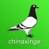 chinaxinge�й��Ÿ���Ϣ��app