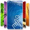 �ǿ������ֽapp