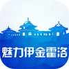 �����������app