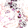 ͨ��ʱ��ս��IOS