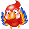 ���ﾫ���߼�רҵ��app