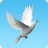 ����app��׿��