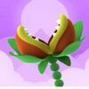 Nom Plant