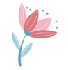 ����ʶ����app