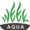 week aquaˮ�ݵ�