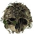 ɭ��The Forestʮ�����޸���v4175072 һ�޴�ʦ��
