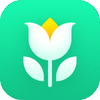 Plant Parentֲ��ʶ������